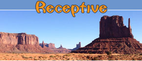 Receptive Tours